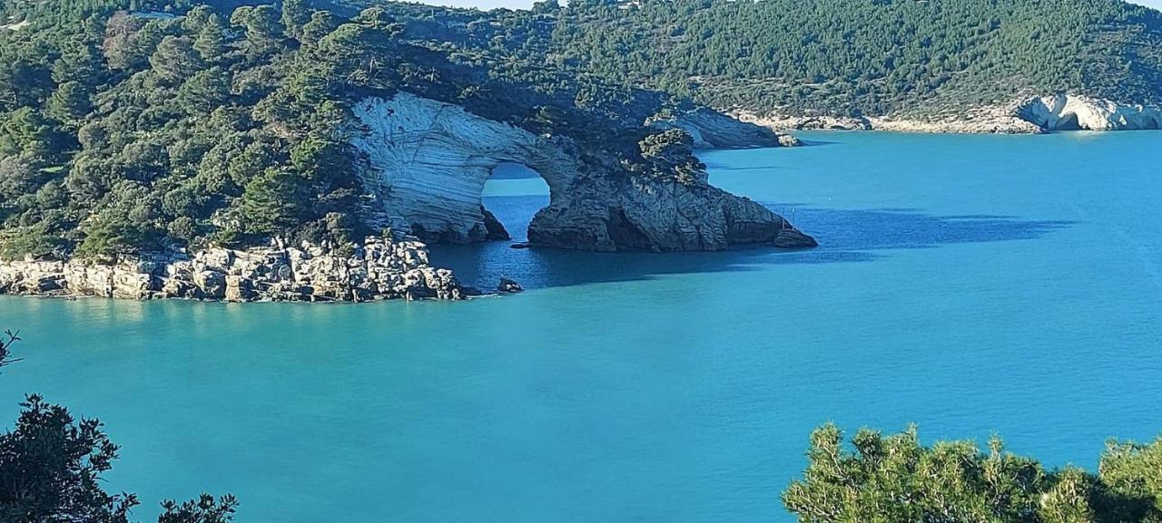 La Perla Del Gargano Home فيستَ المظهر الخارجي الصورة
